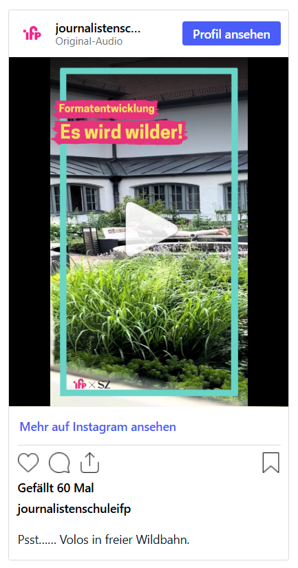 Instagram-Reel